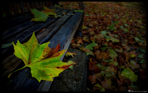 465435 (a): :1680x1051